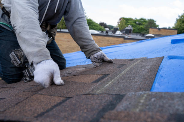 Sealant for Roof in Louisville, MS